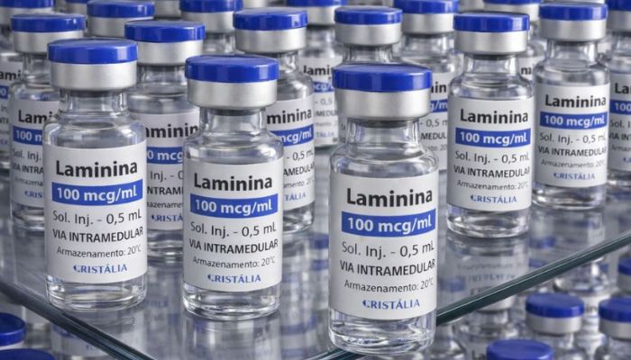 Testes clínicos fase 1 da polilaminina começam este mês