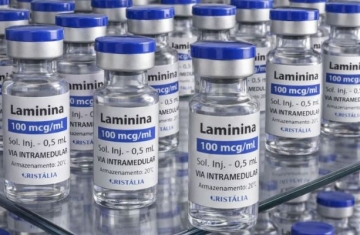 Testes clínicos fase 1 da polilaminina começam este mês