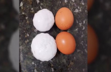 Cidade do PR registra queda de granizo do tamanho de ovos de galinha; estado está sob alerta vermelho para temporais