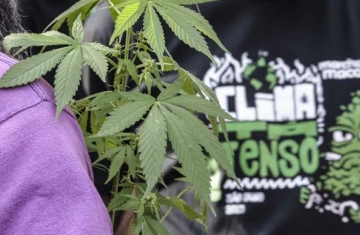 Flagrante por drogas gera mais prisão preventiva do que outros crimes