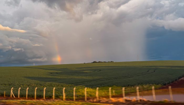 Semana chuvosa terá gangorra nas temperaturas no Paraná