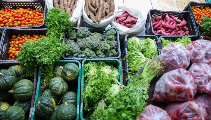 Segurança alimentar exige esforço coletivo e articulação