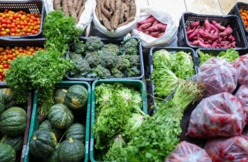 Segurança alimentar exige esforço coletivo e articulação