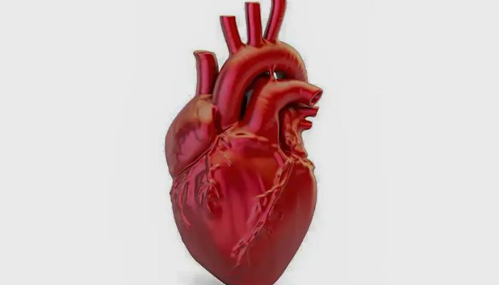 A cada 72 segundos, uma pessoa morre por doença cardiovascular no país