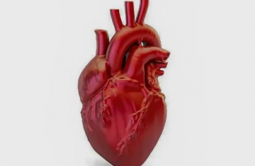 A cada 72 segundos, uma pessoa morre por doença cardiovascular no país