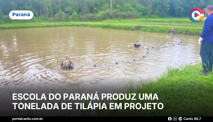 Escola do Paraná produz uma tonelada de tilápia em projeto
