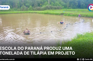 Escola do Paraná produz uma tonelada de tilápia em projeto