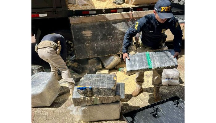 PRF apreende 2,6 ton de maconha durante fiscalização de freios em veículos de carga no Paraná