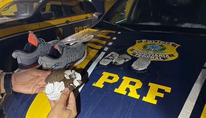 PRF apreende mais de meio quilo de haxixe escondido em calçados de passageiro na BR-369 em Campo Mourão (PR)