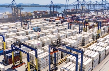Paranaguá responde por 65% do crescimento das exportações brasileiras de frango congelado