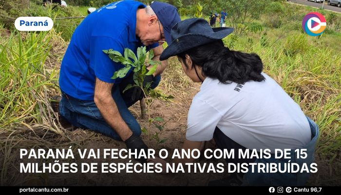 Paraná vai fechar o ano com mais de 15 milhões de espécies nativas distribuídas desde 2019