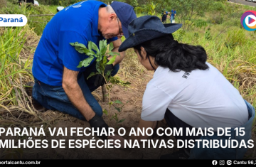Paraná vai fechar o ano com mais de 15 milhões de espécies nativas distribuídas desde 2019